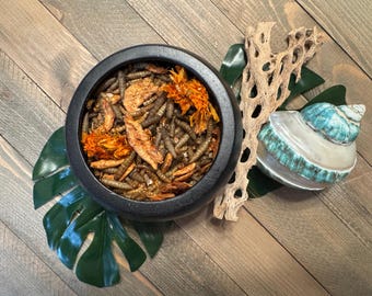 Buggy Blossom Blend | Krill BSL Mealworms Sunflower Seeds Crushed Shell and Marigold Petals