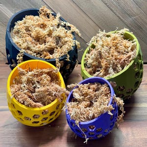 Mossy Hideaway -- 3D Printed Moss Pit - New Design and More Sizes!