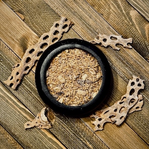 Crunchy Claw Mix  Oats, Peanuts, Raisins, Mealworms & Sunflower Kernels