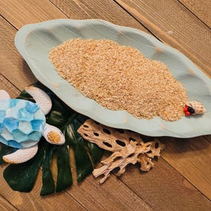 Shrimp Supreme  Shrimp Meal for Hermit Crabs