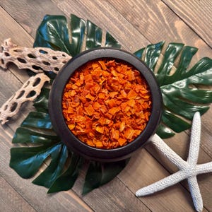 Crunchy Carrot Bites - Dehydrated Carrots for Hermit Crabs