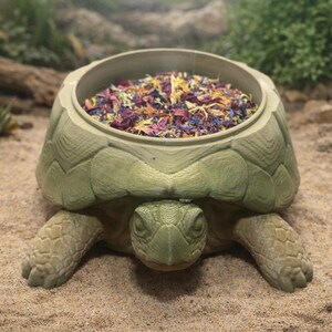 Turtle Foraging Food Dish | Hermit Crab, Reptile & Invertebrate Enrichment Bowl