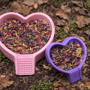 Heart Foraging and Food Dish | Hermit Crab, Reptile & Isopod Enrichment