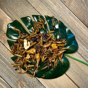 Fab Four Protein Mix  Soldier Fly Larvae, Mealworms, Shrimp & Beetles