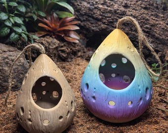 Hanging Hermit Crab Hideout Pod | Natural Terrarium Decor