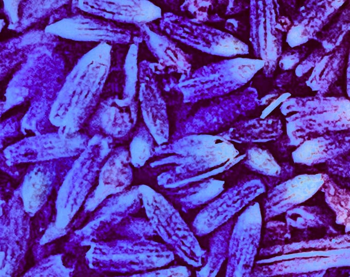 Lavender Pampering Experience