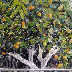 Original Oil painting 'Lemon Tree' 60 x 90 image 3