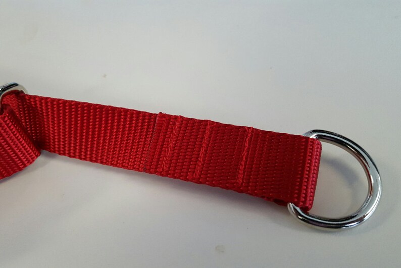 Nylon Slip Collar,free Shipping, Large Dog Collar, Adjustable, Choke