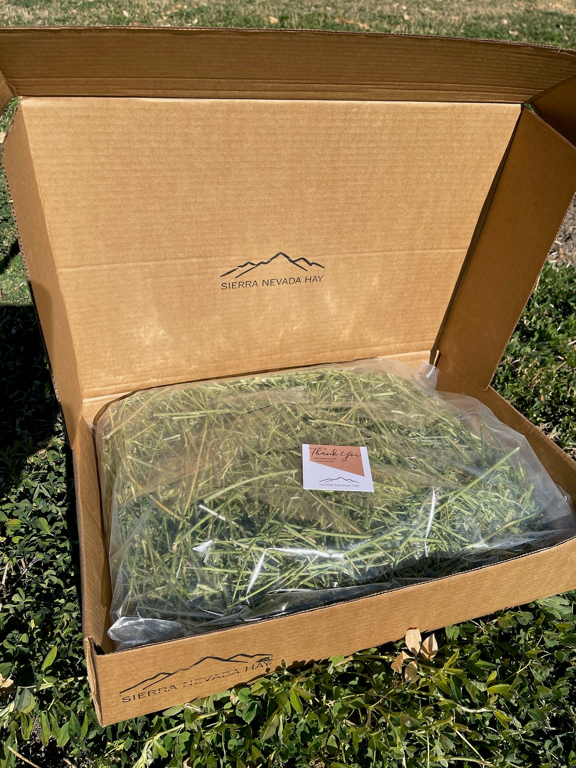Nongmo Nutrient Dense Alfalfa Hay Feed for Pet Rabbits Etsy