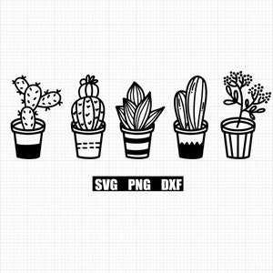 Suculento SVG PNG DXF Archivo de corte / Cactus / Descarga digital / Camiseta