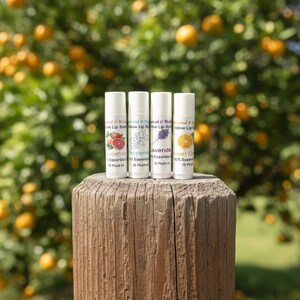 Tallow Lip Balm