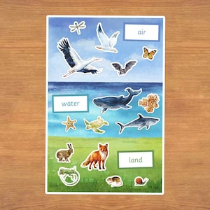 Air, Water, and Land Learning Mat (printable PDF kit)