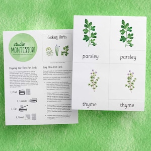 3-part cards: Cooking Herbs (printable PDF) 