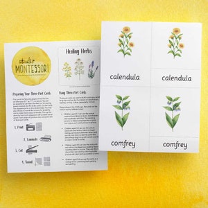 3-part cards: Healing Herbs (printable PDF) 
