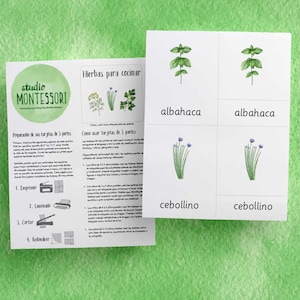 Tarjetas de 3 partes en Español: Hierbas para cocinar [PDF imprimible]