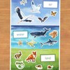 3-part Cards: Marine Invertebrates (printable PDF) - Etsy