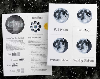 3-part cards: Moon Phases (printable PDF)