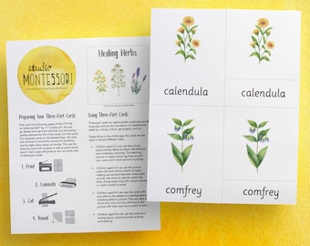 3-part cards: Healing Herbs (printable PDF) 