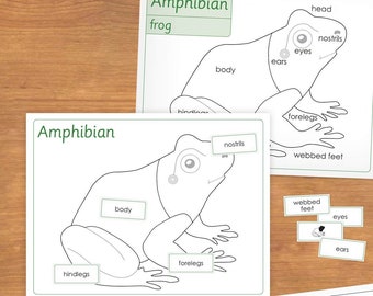 DIY Zoology Puzzle Activity Mats (printable PDF)