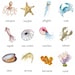3-part Cards: Marine Invertebrates printable PDF - Etsy
