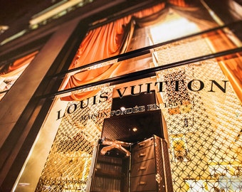 Louis Vuitton Skin: Architecture of Luxury Paris, English Version - Books  and Stationery