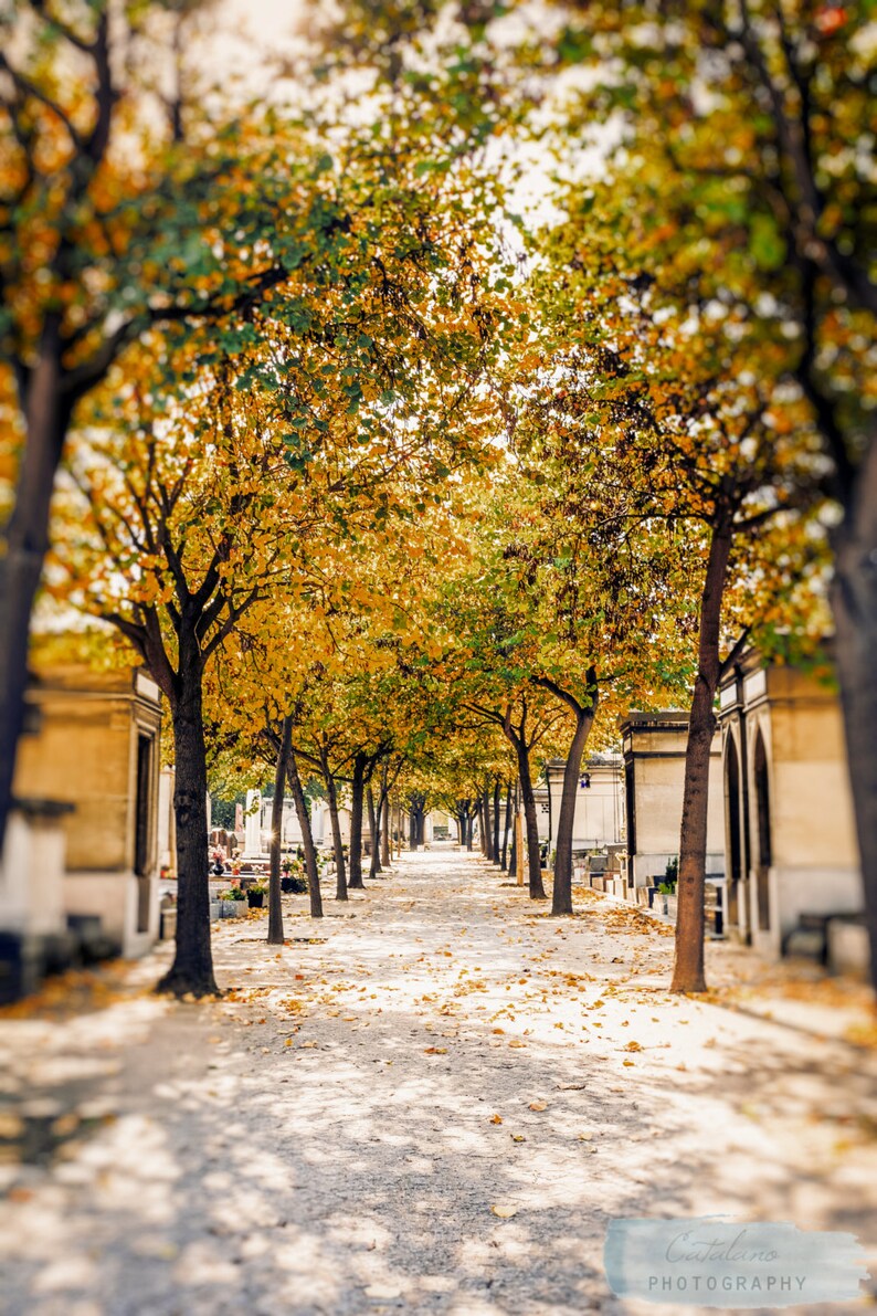 Large Wall Art 16x20 20x24 Fine Art Print Canvas Paris in Fall Photography Pere Lachaise Paris France Modern Kitchen Chic Home Decor
