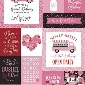 Falling in Love Panel Pink