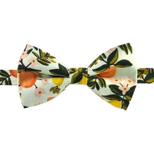 Papillon Citrus Grove Mint/Per bambini/Adulti/Uomo/Sposo/Bambini/Neonati/Limone/Carta per fucile