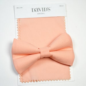 bellini bow tie