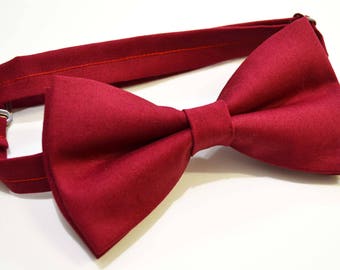Apple Red bow tie for boy men groomsmen ringbearer cat dog baby teen toddler father and son  for wedding birthday family photo gift for him