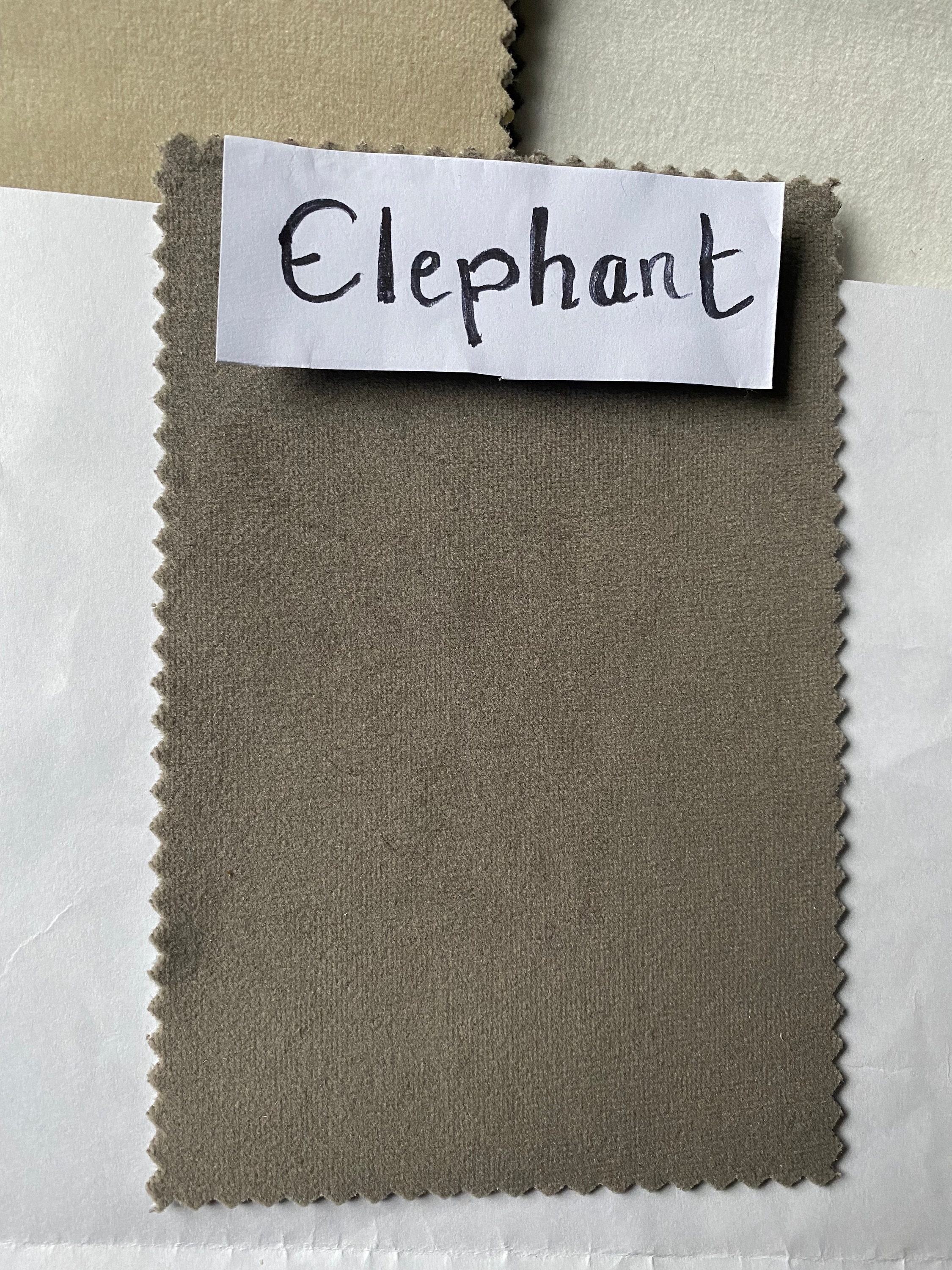 Neutral Made to Measure Velvet Curtains FABRIC SAMPLE. Living Room ...