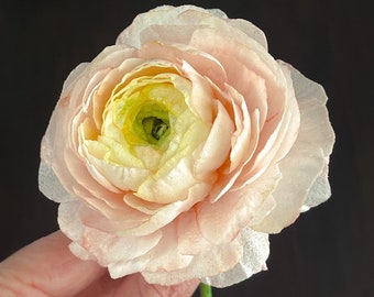 Opłatek papierowy z cukrem, duży i pełny kwiat ranunculus, idealny na tort weselny lub tort na specjalne okazje!