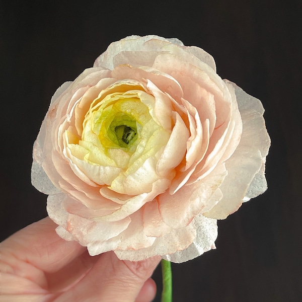 Wafer paper sugar large and full ranunculus flower for wedding cakes or special occasion cakes!