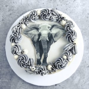 Custom edible Image frosting sheet cake topper to feature child's artwork on cake or other edible image!
