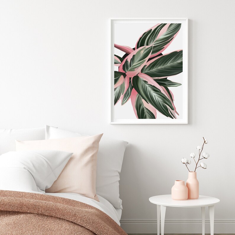 Houseplant wall art, House plant illustration, Triostar plant wall art, Boho wall art image 4