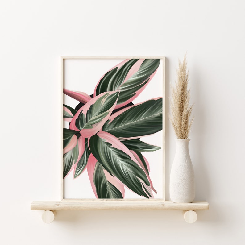 Houseplant wall art, House plant illustration, Triostar plant wall art, Boho wall art image 1