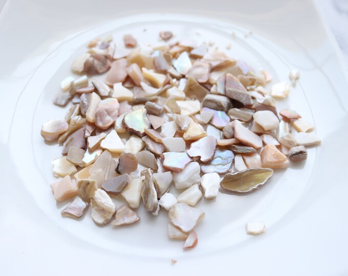 Crushed Shells Natural Crushed Shells Shells for Polymer Clay Earrings