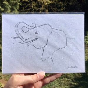 Olifant - Originele potloodschets - 5x7