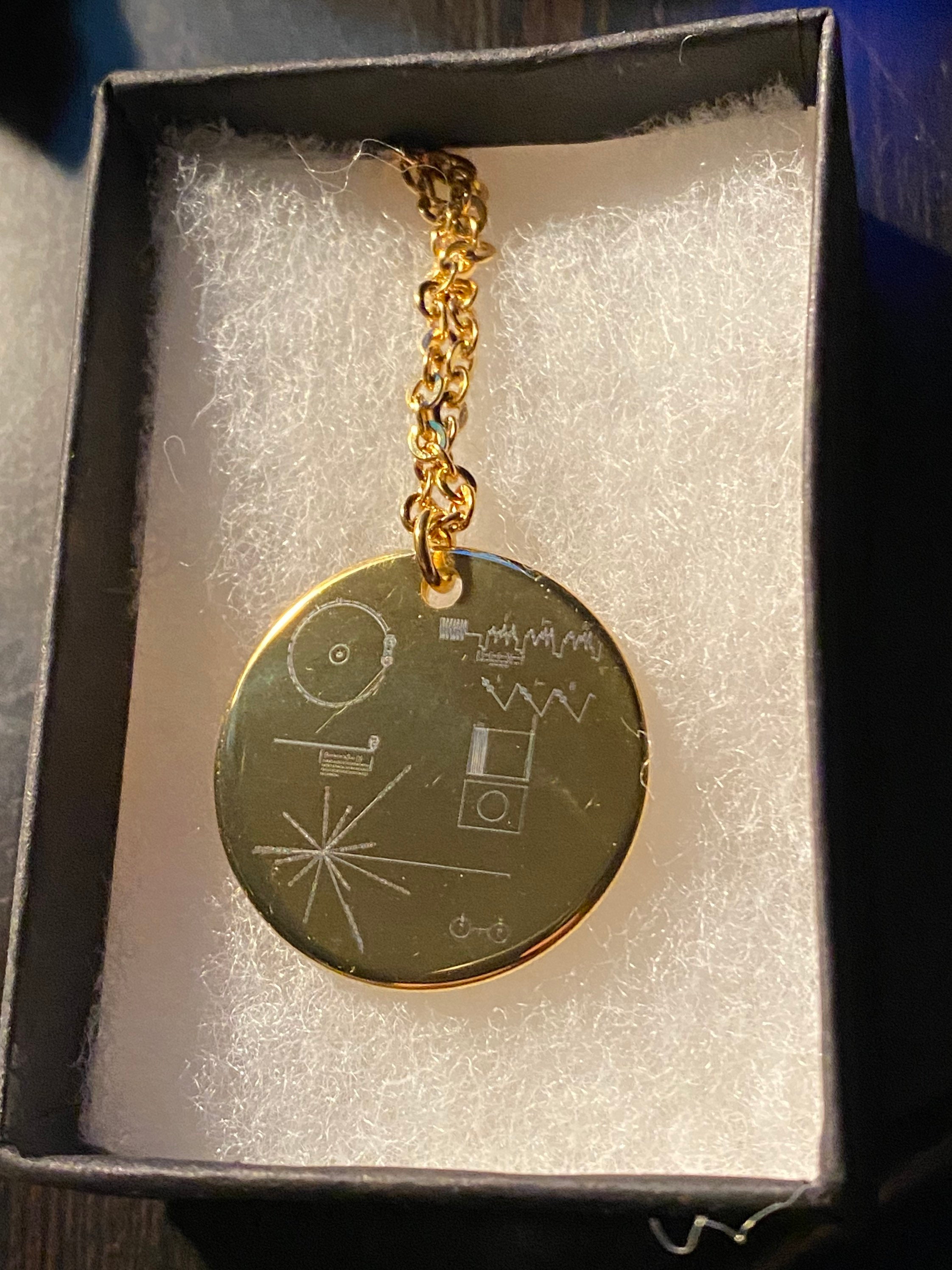 NASA Voyager Gold Record Etching on Gold Plated Stainless Etsy Norway