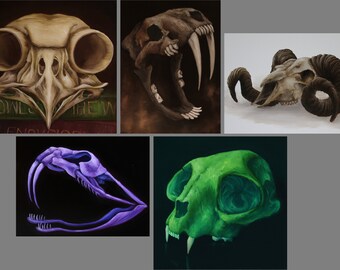 May include: Five different animal skulls painted in various colors. The skulls are displayed on a dark background. The skulls are of an owl, a saber-toothed cat, a ram, a snake, and a cat.
