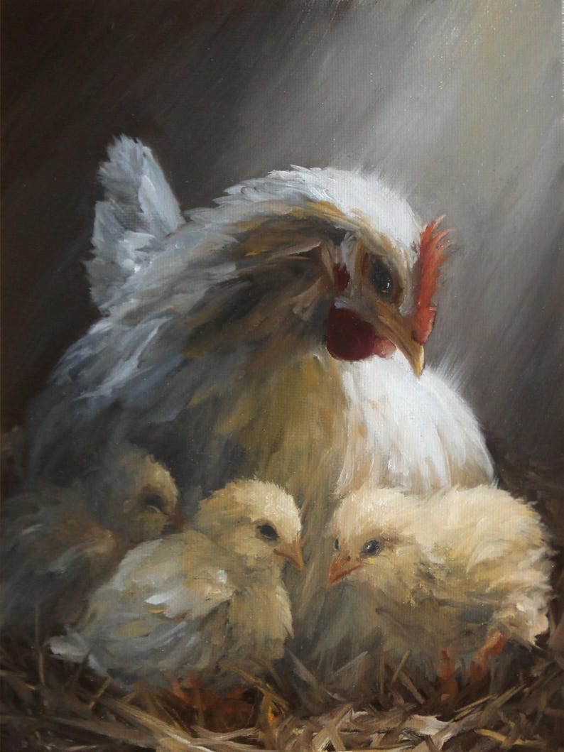 May include: An oil painting depicts a white hen with a red comb and beak, sheltering three yellow chicks. The chicks are nestled in a bed of straw, with light streaming from above, creating a warm, comforting scene.