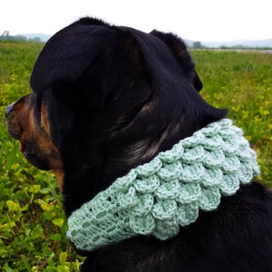May include: A black dog wearing a light green crocheted dog collar. The collar has a scale-like pattern.