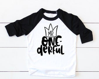 Boys 1st Birthday Shirt Mr. Onederful First Birthday Boy Shirt Toddler Mr. One derful Shirt 1st Birthday T Shirt  Boys First Birthday One