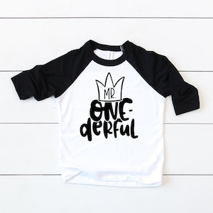 May include: A white and black baseball tee shirt with a black crown and the text "Mr. One-derful" on the front.