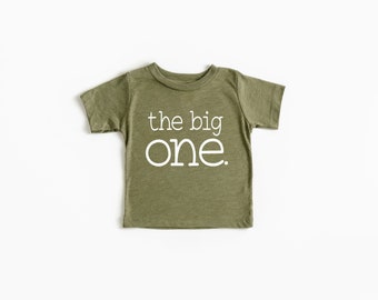 The Big One First Birthday Shirt Boys 1st Birthday Outfit - Etsy