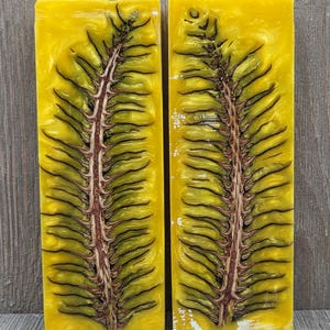 May include: Two rectangular blocks of yellow resin, each featuring a central embedded pine cone slice. The pine cone displays a dark brown, textured core with radiating green and yellow scales, creating a detailed botanical pattern within the resin.