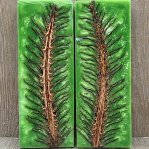 May include: Two rectangular blocks featuring a vibrant lime green resin base with a swirling, pearlescent finish. Each block contains a central, vertically oriented brown pine cone scale structure that resembles a fern leaf or feather.