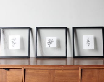 Snapdragon Floral Art Series