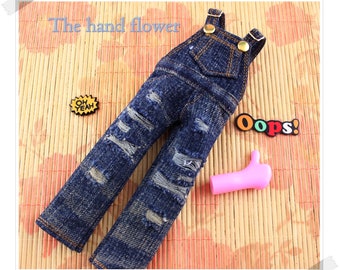 Lovely Jean overall for Blythe.