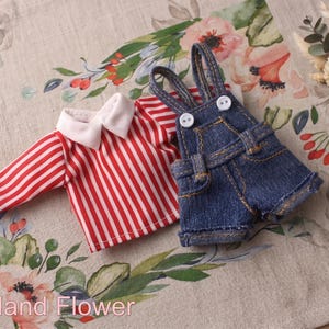 May include: A miniature outfit featuring a red and white striped shirt with a white collar and denim overalls. The outfit is displayed on a floral patterned fabric. The text "The Hand Flower" is visible at the bottom.